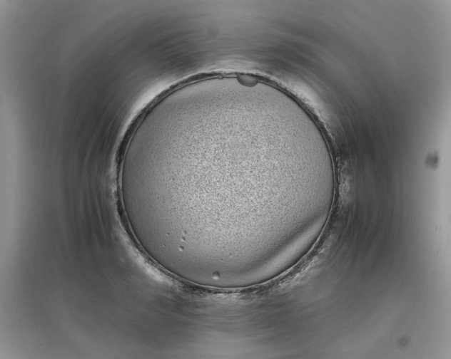 X0000097640990200803142042