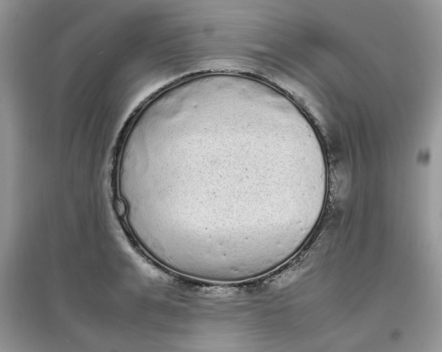 X0000097640991200803142042