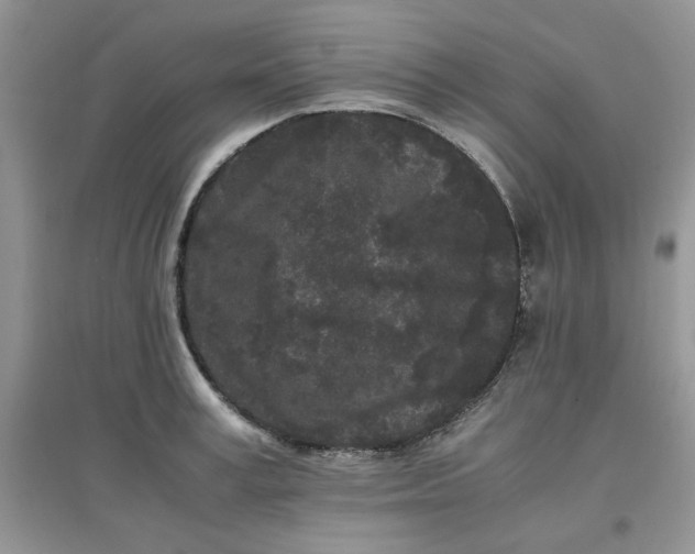 X0000097640995200803142042