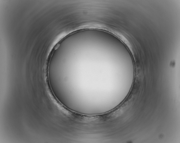 X0000097640997200803142042