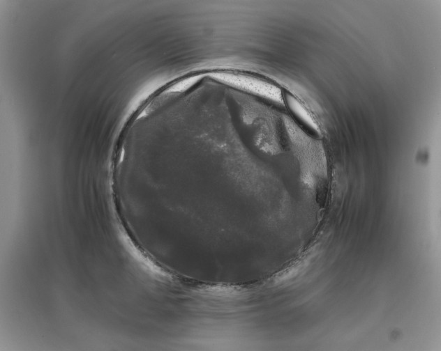 X0000097640998200803142042