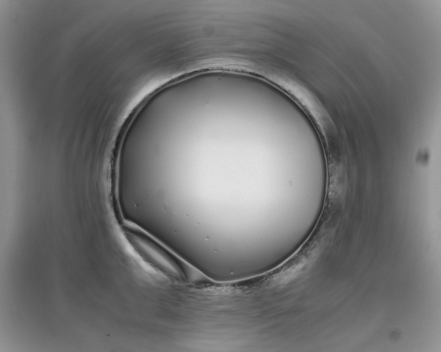 X0000097640999200803142042