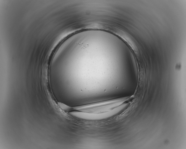 X0000097641000200803142042