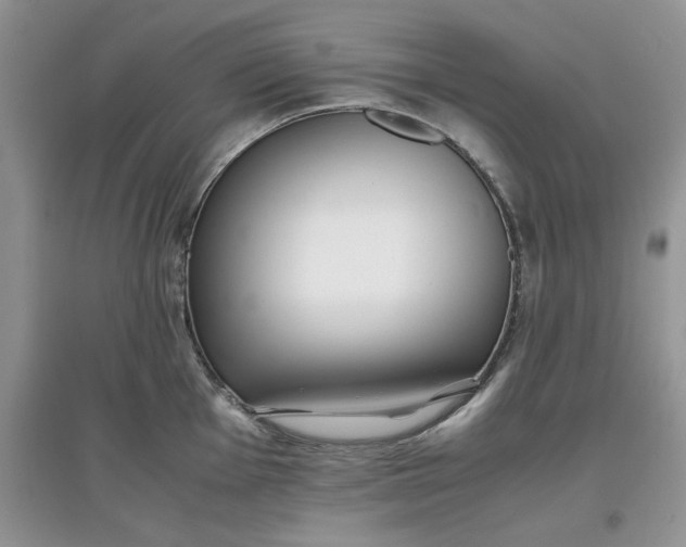 X0000097641001200803142042