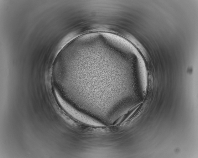 X0000097641002200803142042