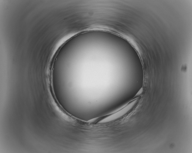 X0000097641003200803142042