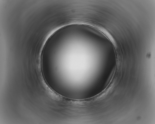 X0000097641004200803142042