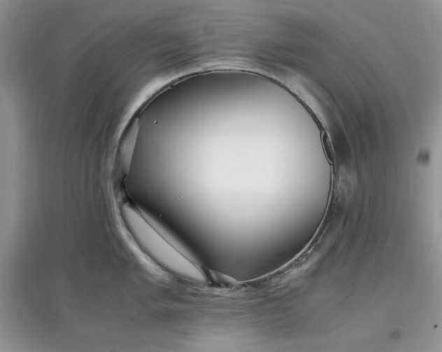 X0000097641005200803142042