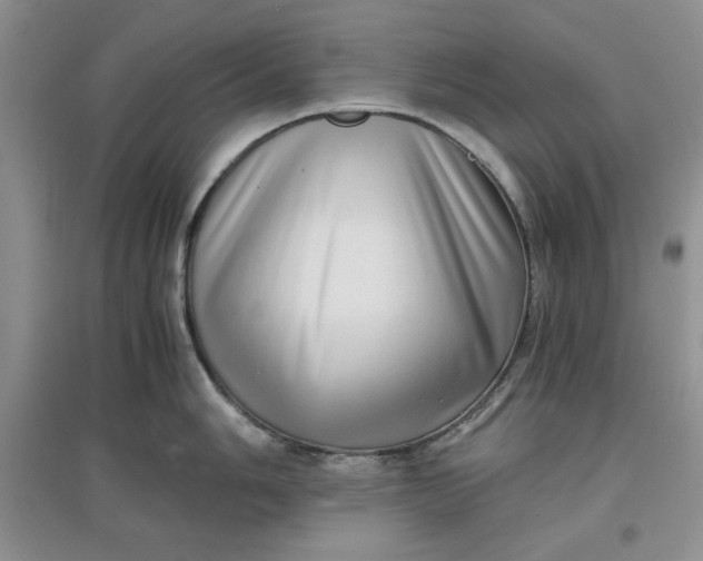 X0000097641006200803142042