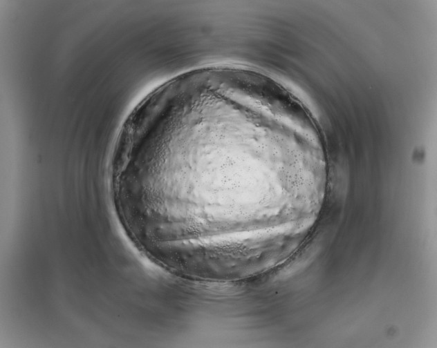 X0000097641007200803142042