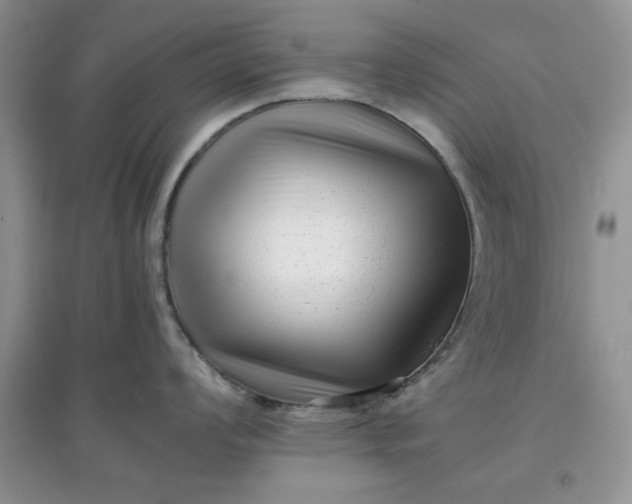 X0000097641008200803142042