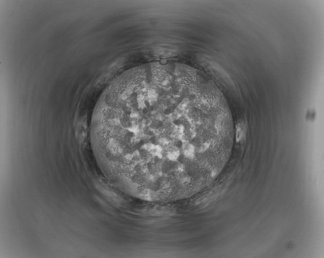 X0000097641011200803142042