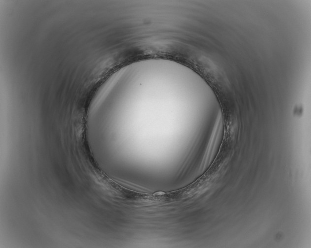 X0000097641012200803142042