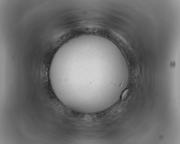 X0000097641013200803142042