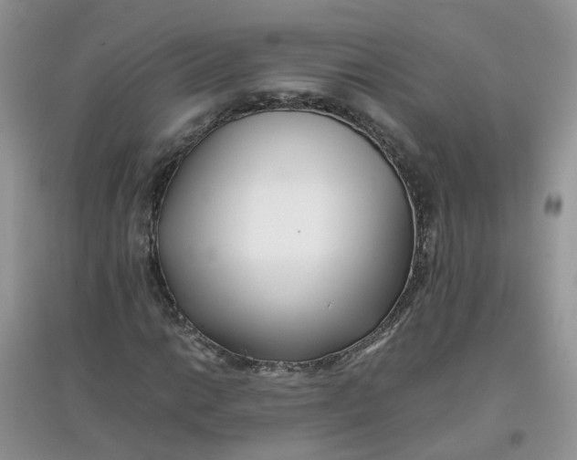 X0000097641014200803142042