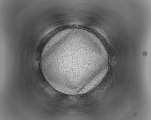 X0000097641015200803142042