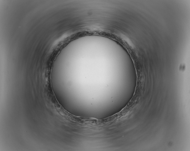 X0000097641016200803142042