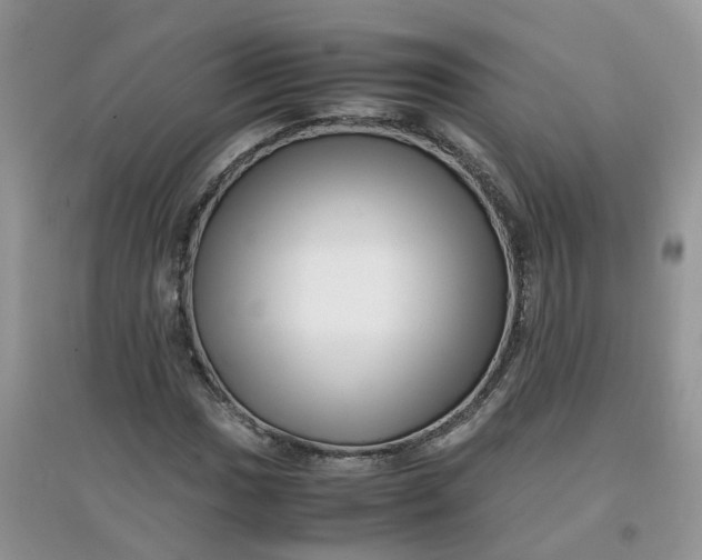 X0000097641017200803142042