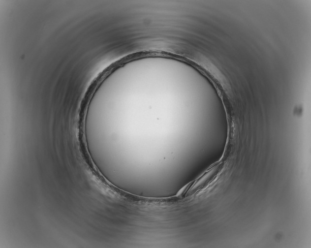 X0000097641020200803142042