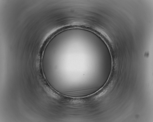 X0000097641021200803142042