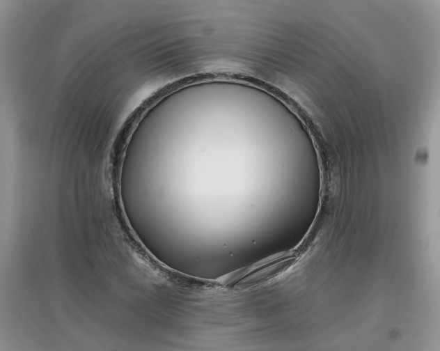 X0000097641022200803142042