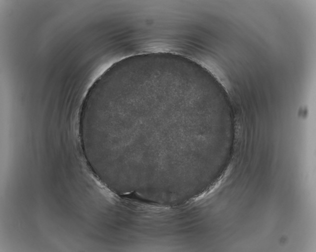 X0000097641023200803142042