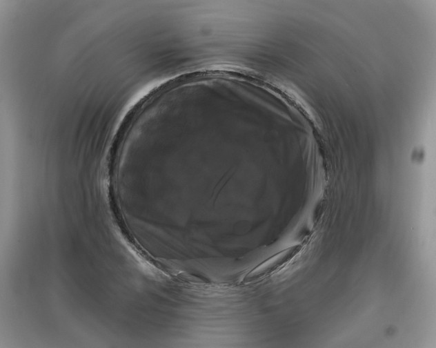 X0000097641024200803142042