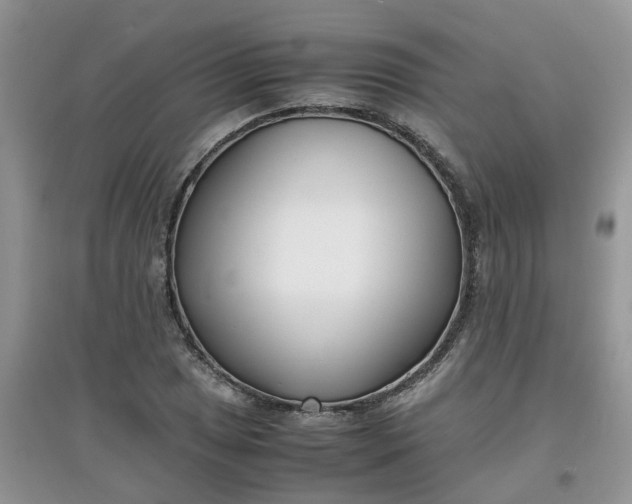 X0000097641025200803142042