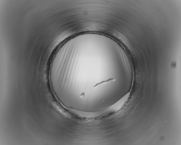 X0000097641026200803142042