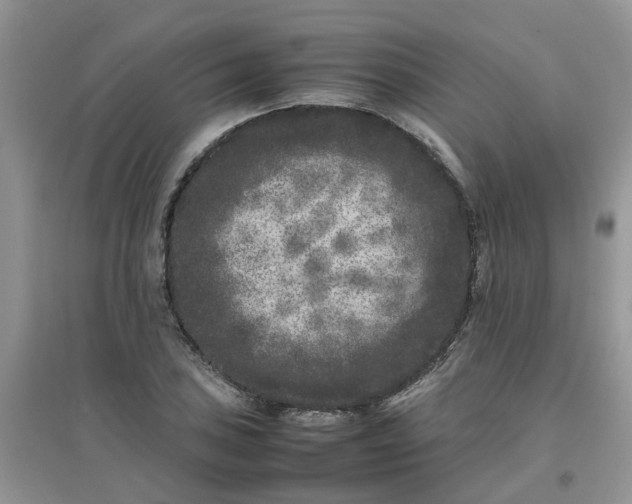 X0000097641027200803142042