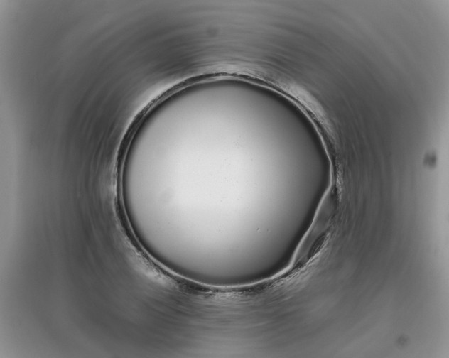 X0000097641028200803142042