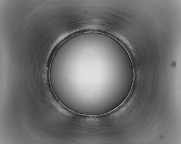 X0000097641029200803142042