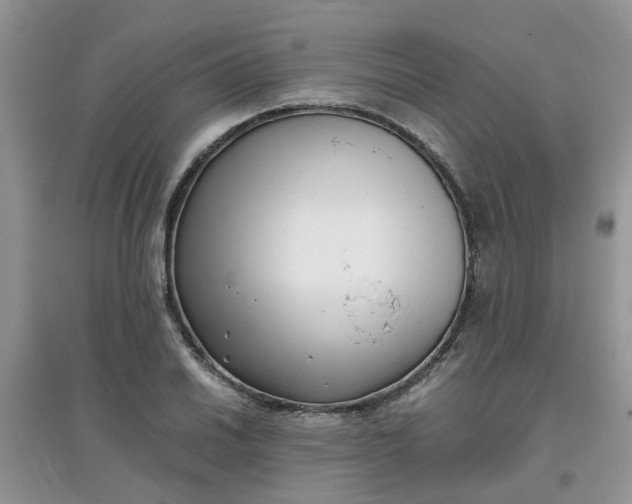 X0000097641030200803142042