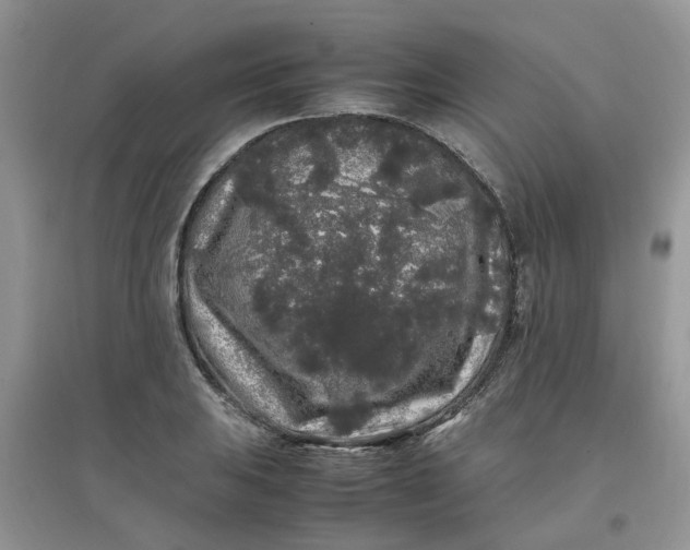 X0000097641031200803142042