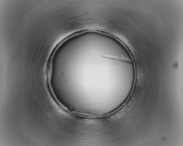 X0000097641032200803142042