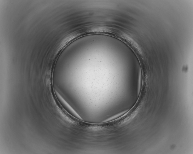 X0000097641033200803142042