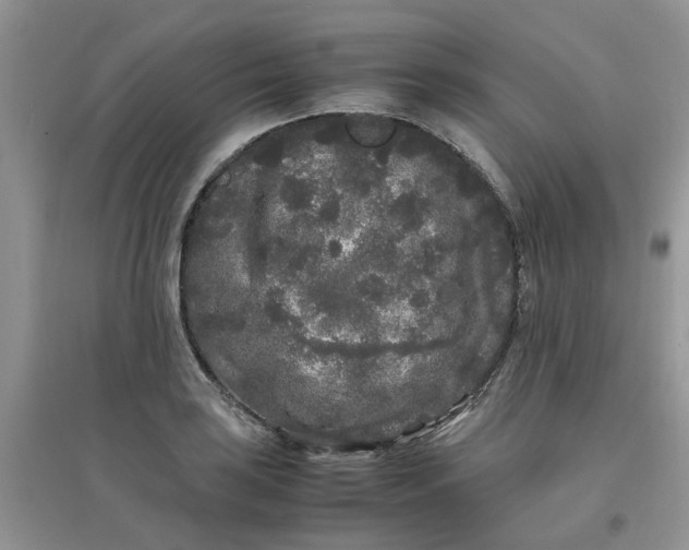 X0000097641035200803142042