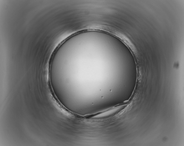 X0000097641036200803142042