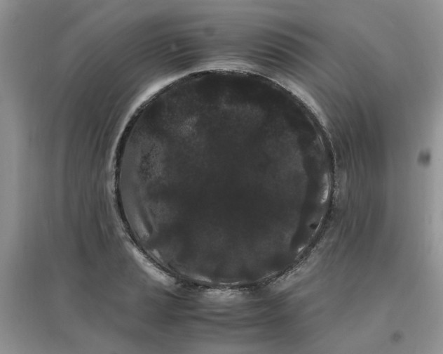 X0000097641037200803142042