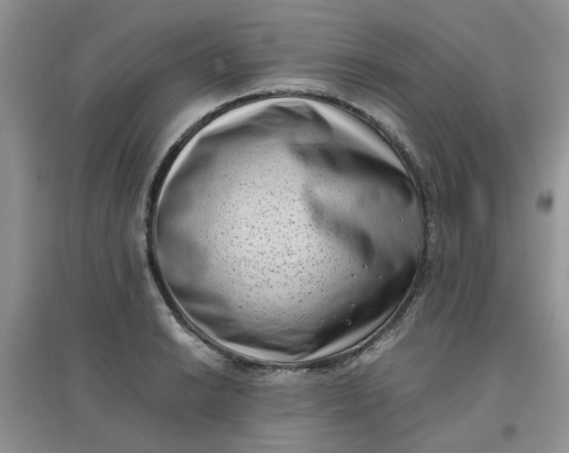 X0000097641038200803142042