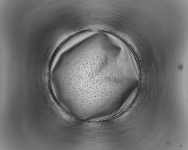 X0000097641040200803142042