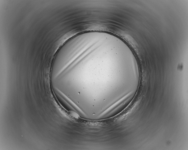 X0000097641041200803142042