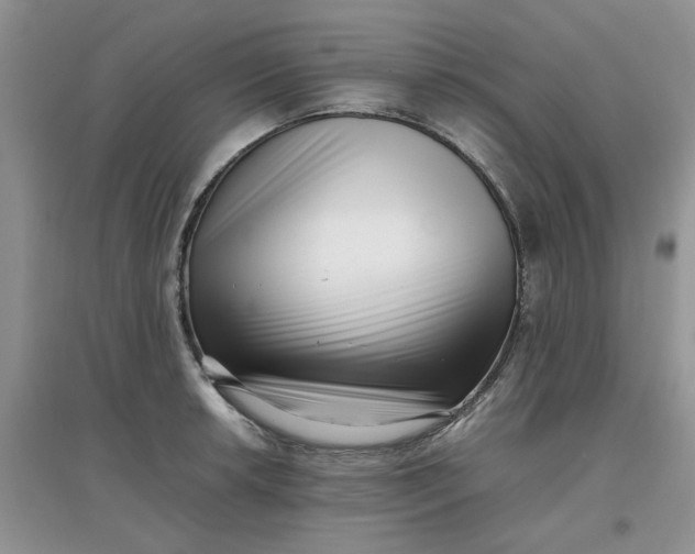 X0000097641042200803142042