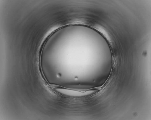 X0000097641043200803142042