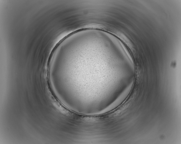 X0000097641044200803142042