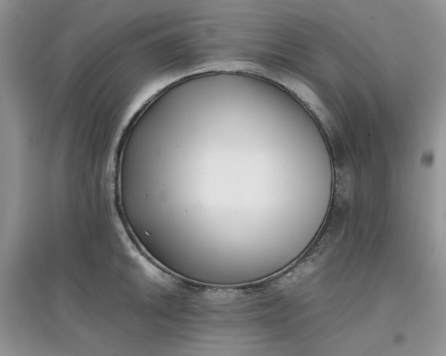 X0000097641046200803142042