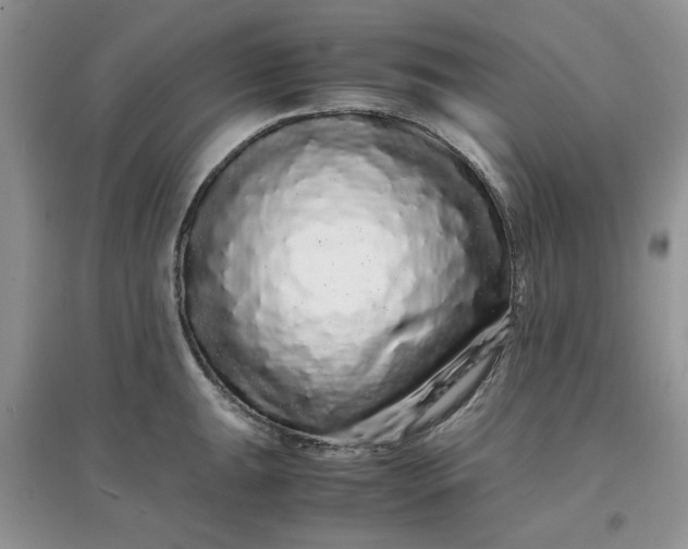 X0000097641047200803142042