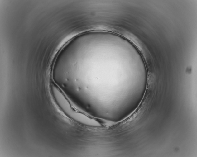 X0000097641048200803142042