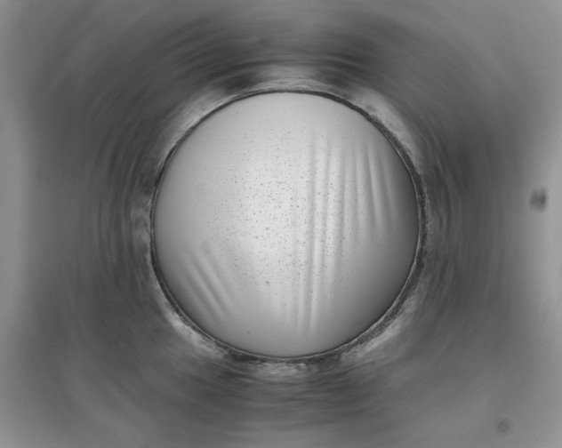 X0000097641049200803142042