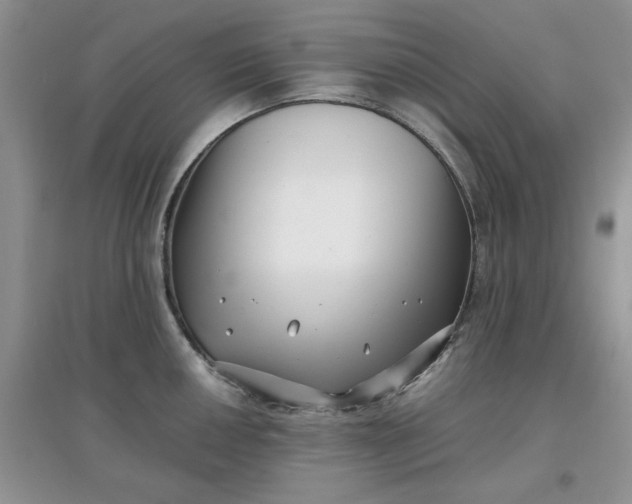 X0000097641050200803142042